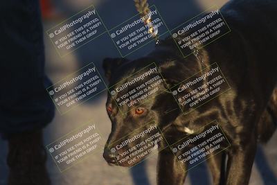 media/Nov-29-2025-TrackXperience (Sat) [[2953a387f4]]/4-Around the Pits/